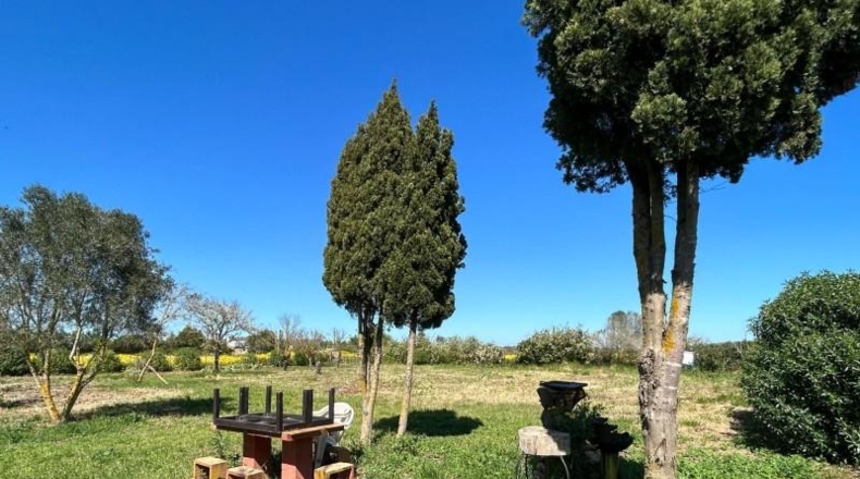Balearic Islands - Поррерас - 1900m2