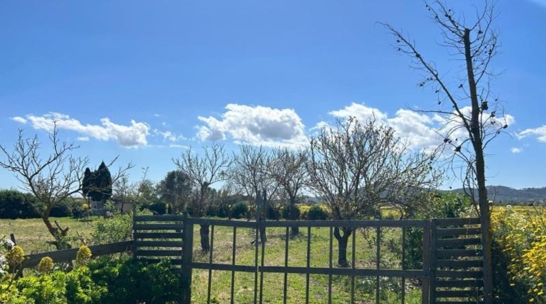 Balearic Islands - Поррерас - 1900m2