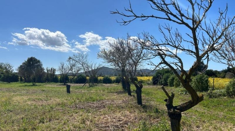 Balearic Islands - Поррерас - 1900m2