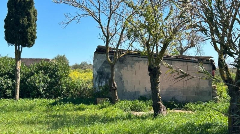 Balearic Islands - Поррерас - 1900m2