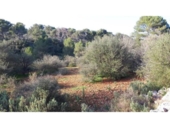 Non-developable land for sale on España, Cala Santanyí, ref: TR312817 photo