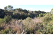 Non-developable land for sale on España, Cala Santanyí, ref: TR312817 photo