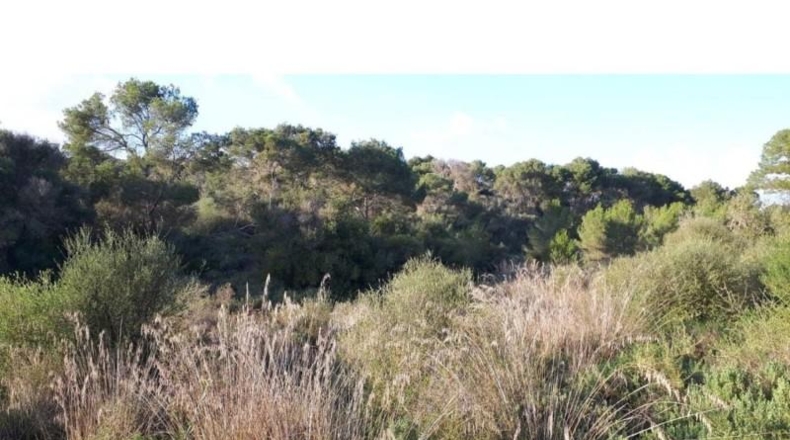 Islas Baleares - Santañy - 4400m2