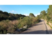 Non-developable land for sale on España, Cala Santanyí, ref: TR312817 photo