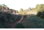 Non-developable land for sale on España, Cala Santanyí, ref: TR312817 photo