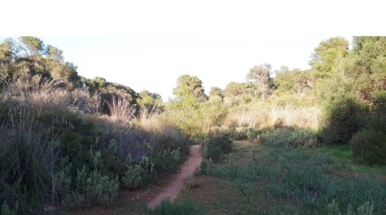 Islas Baleares - Santañy - 4400m2