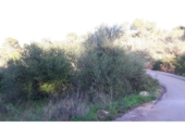 Non-developable land for sale on España, Cala Santanyí, ref: TR312817 photo