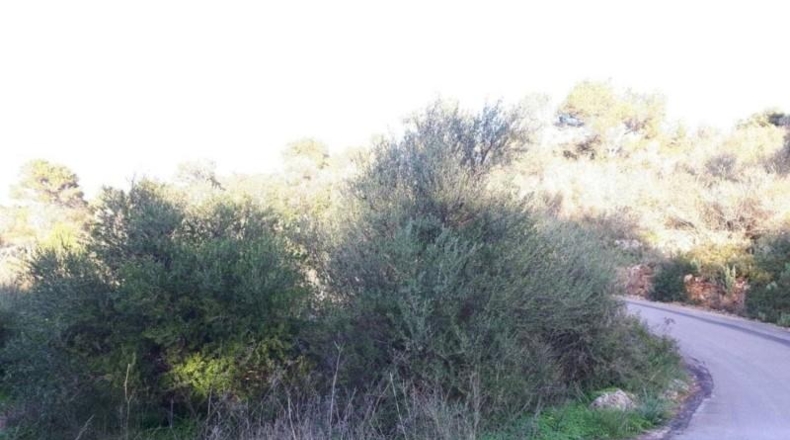 Islas Baleares - Santañy - 4400m2