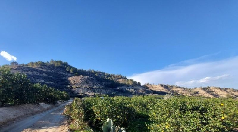 Murcia - Murcia - 7500m2