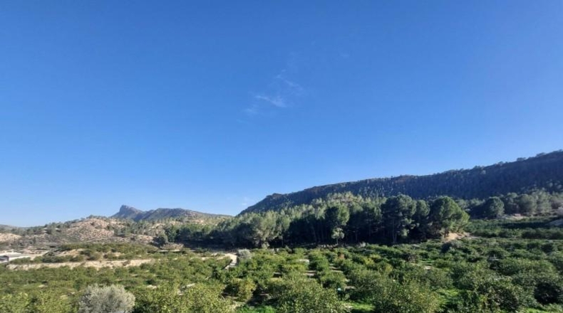 Murcia - Murcia - 7500m2