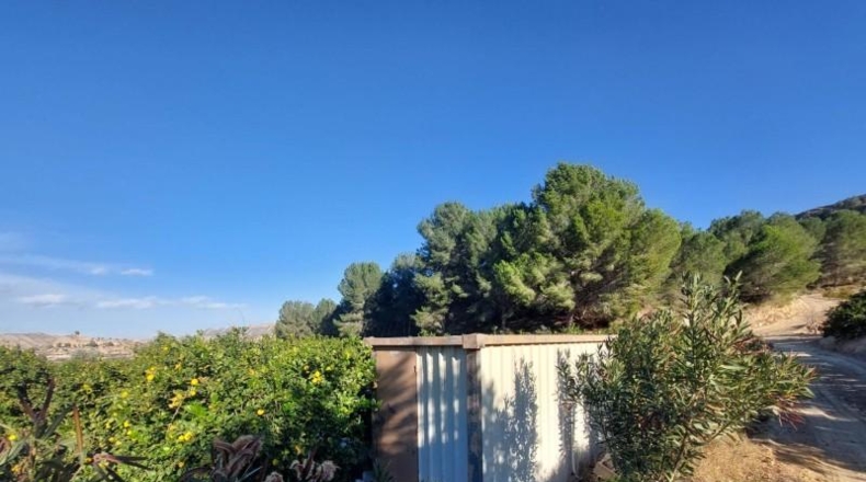 Murcia - Murcia - 7500m2