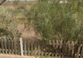 Terreny no urbanitzable en venda a la España, Múrcia, ref.: TR244614 foto