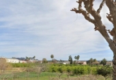 Terreny no urbanitzable en venda a la España, Múrcia, ref.: TR244614 foto