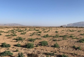 Alhama de Murcia 17&nbsp;м²