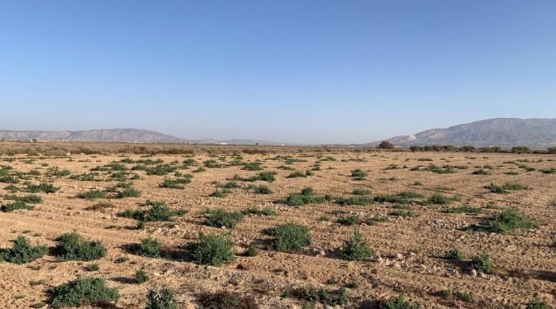 Мурсия - Alhama de Murcia - 17m2