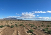 Terreno no urbanizable en venta en la España, Alhama de Murcia, ref: TR366672 foto