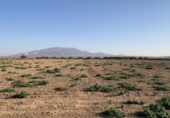 Terreno no urbanizable en venta en la España, Alhama de Murcia, ref: TR366672 foto