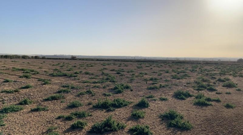 Мурсия - Alhama de Murcia - 17m2
