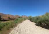 Land suitable for development for sale on España, Lorca, ref: TR125518 photo