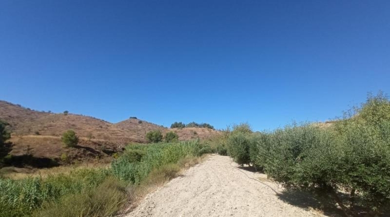 Múrcia - Lorca - 65000m2