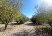 Land suitable for development for sale on España, Lorca, ref: TR125518 photo