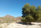 Land suitable for development for sale on España, Lorca, ref: TR125518 photo