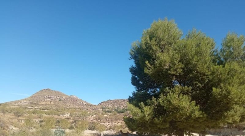 Múrcia - Lorca - 65000m2