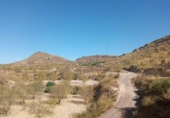 Land suitable for development for sale on España, Lorca, ref: TR125518 photo