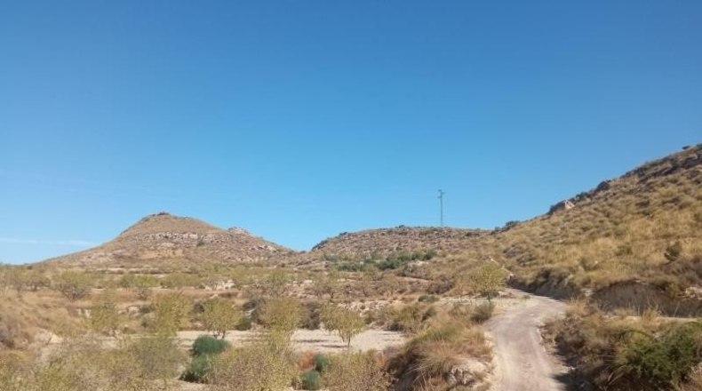 Múrcia - Lorca - 65000m2