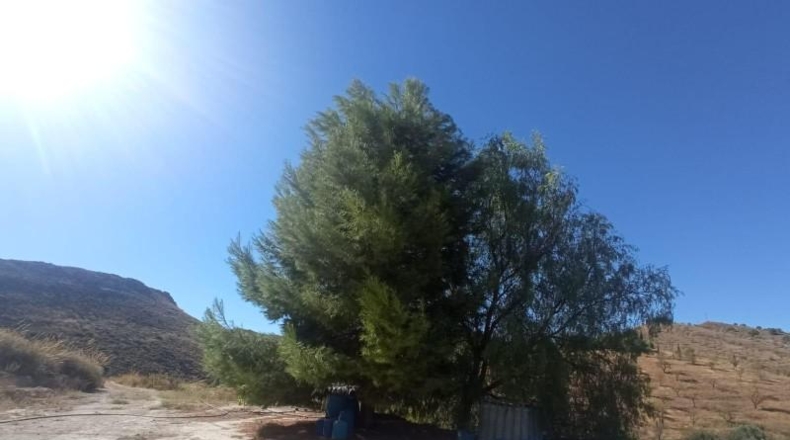 Múrcia - Lorca - 65000m2