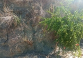 Land suitable for development for sale on España, Lorca, ref: TR125518 photo