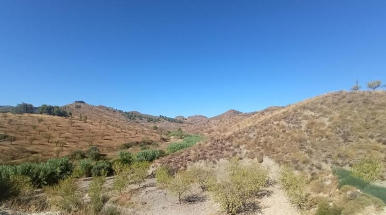 Múrcia - Lorca - 65000m2