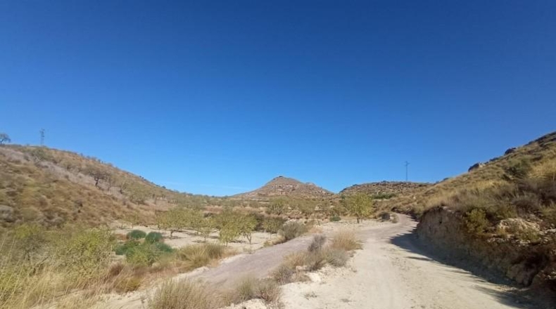 Múrcia - Lorca - 65000m2