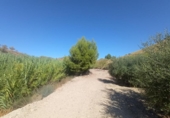 Land suitable for development for sale on España, Lorca, ref: TR125518 photo