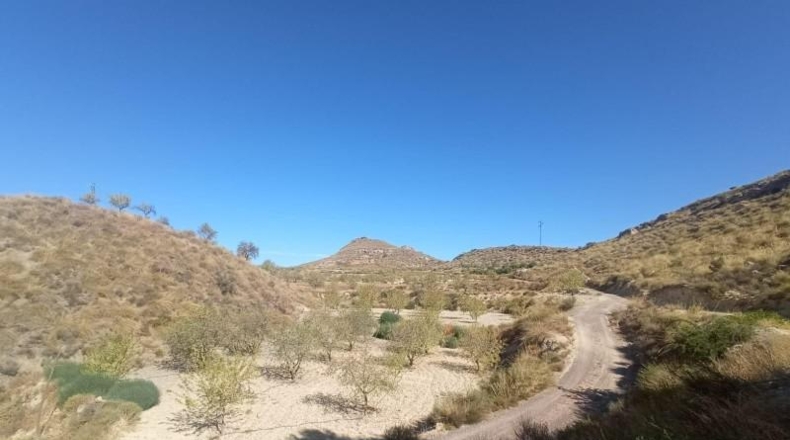 Múrcia - Lorca - 65000m2