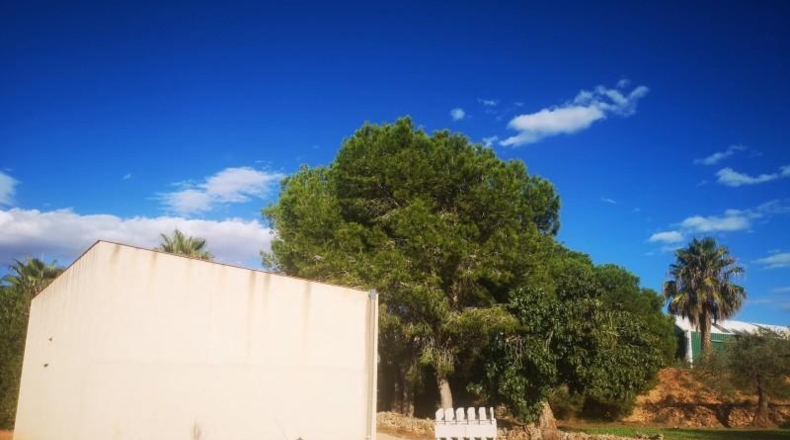 Tarragona - Ulldecona - 10600m2