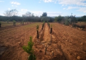 Terreno no urbanizable en venta en la España, Ulldecona, ref: TR174935 foto