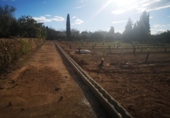 Terreno no urbanizable en venta en la España, Ulldecona, ref: TR174935 foto