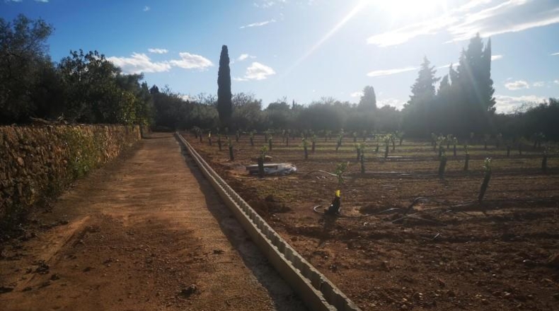 Tarragona - Ulldecona - 10600m2