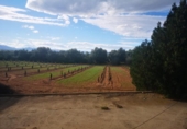 Terreno no urbanizable en venta en la España, Ulldecona, ref: TR174935 foto