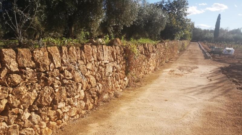 Tarragona - Ulldecona - 10600m2