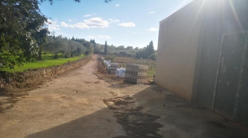 Tarragona - Ulldecona - 10600m2