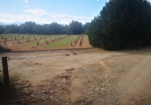 Terreno no urbanizable en venta en la España, Ulldecona, ref: TR174935 foto
