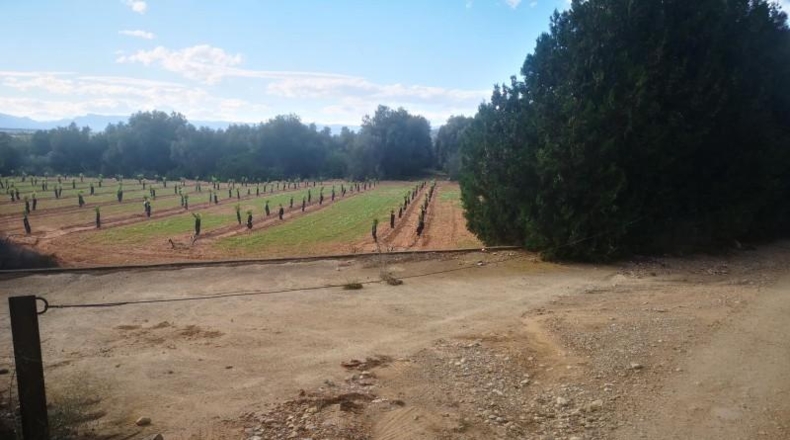 Tarragona - Ulldecona - 10600m2