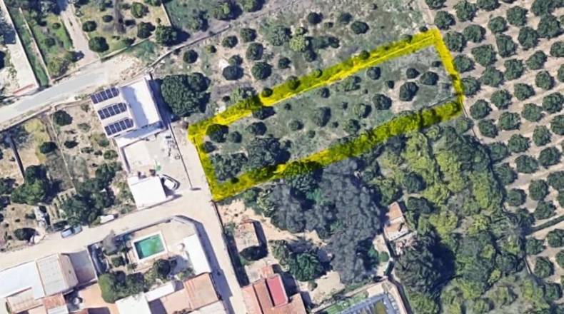 Murcia - Murcia - 756m2