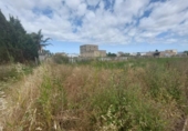 Sòl urbà en venda a la España, Deltebre, ref.: TR131151 foto