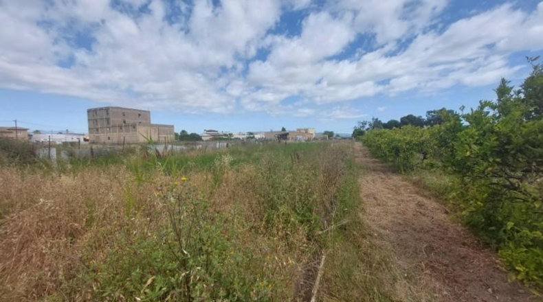 Tarragona - Deltebre - 2049m2