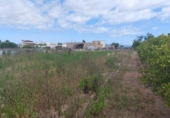 Sòl urbà en venda a la España, Deltebre, ref.: TR131151 foto