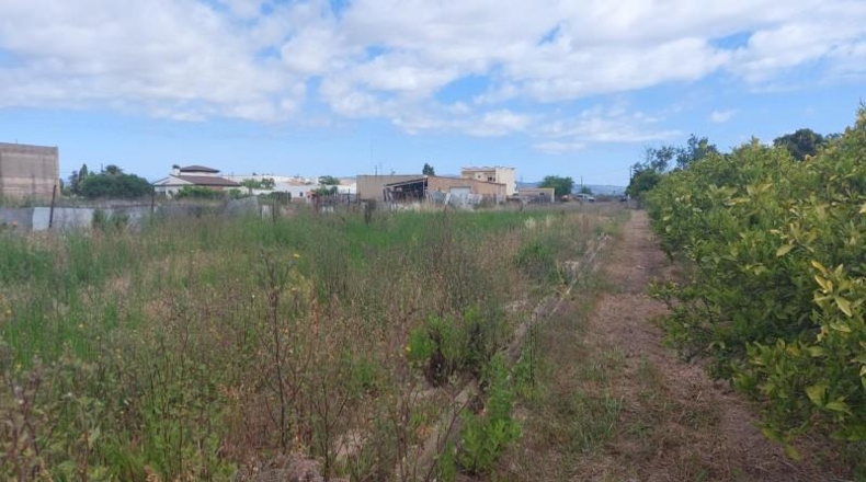 Tarragona - Deltebre - 2049m2
