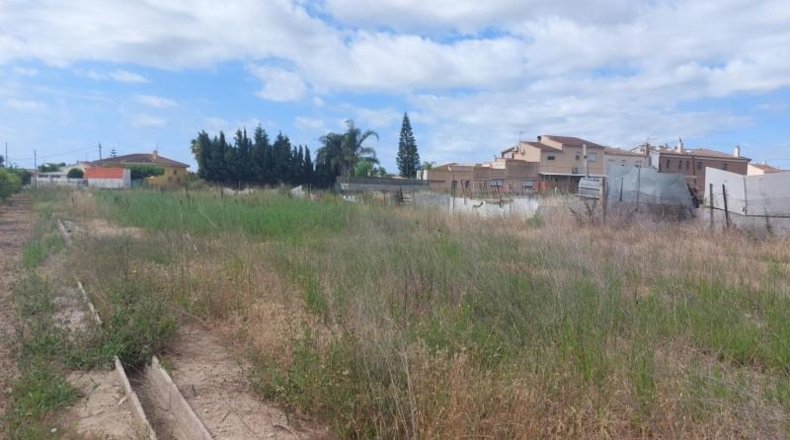 Tarragona - Deltebre - 2049m2